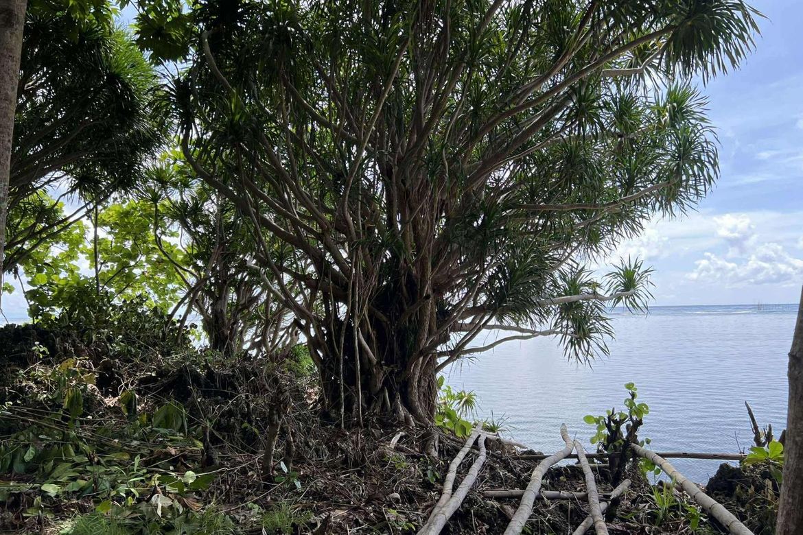 Land for Sale in Sawang, Sibutad, Zamboanga del Norte – photo 3