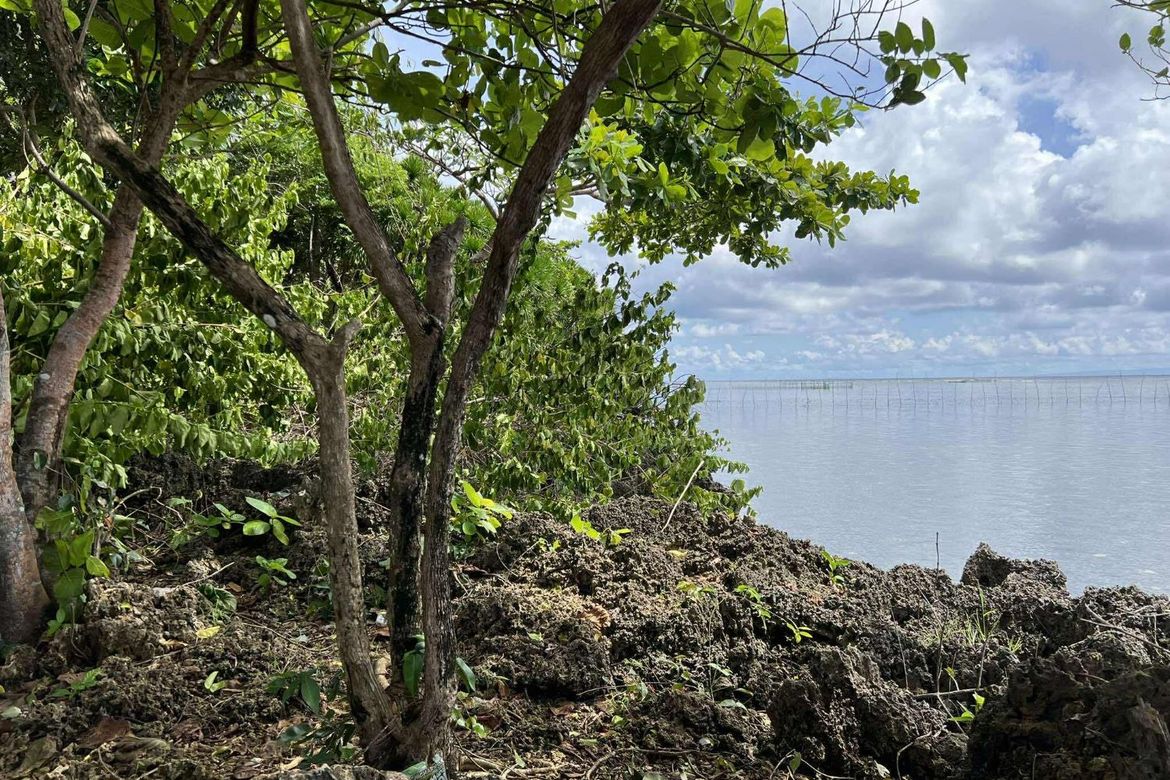 Land for Sale in Sawang, Sibutad, Zamboanga del Norte – photo 4