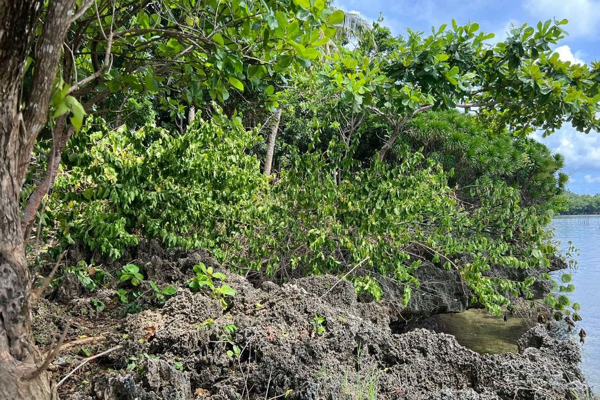 Land for Sale in Sawang, Sibutad, Zamboanga del Norte – photo 8