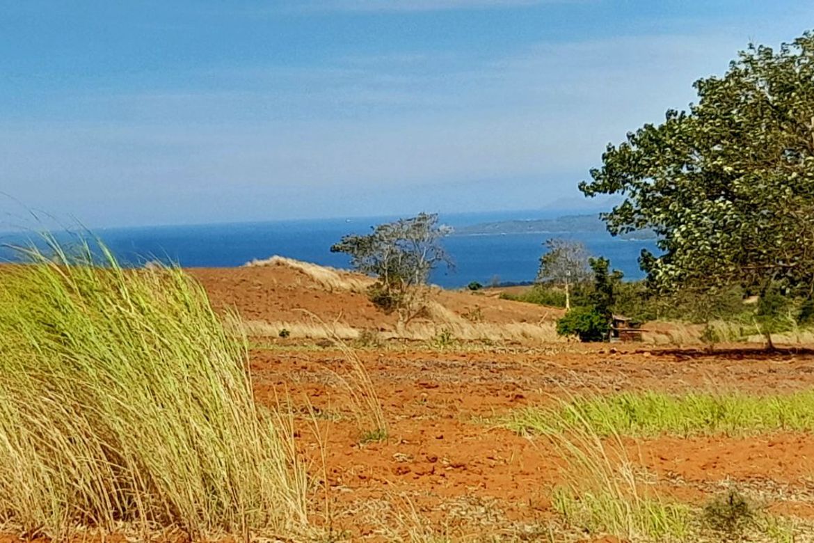 Land for Sale in Saysain, Bagac, Bataan