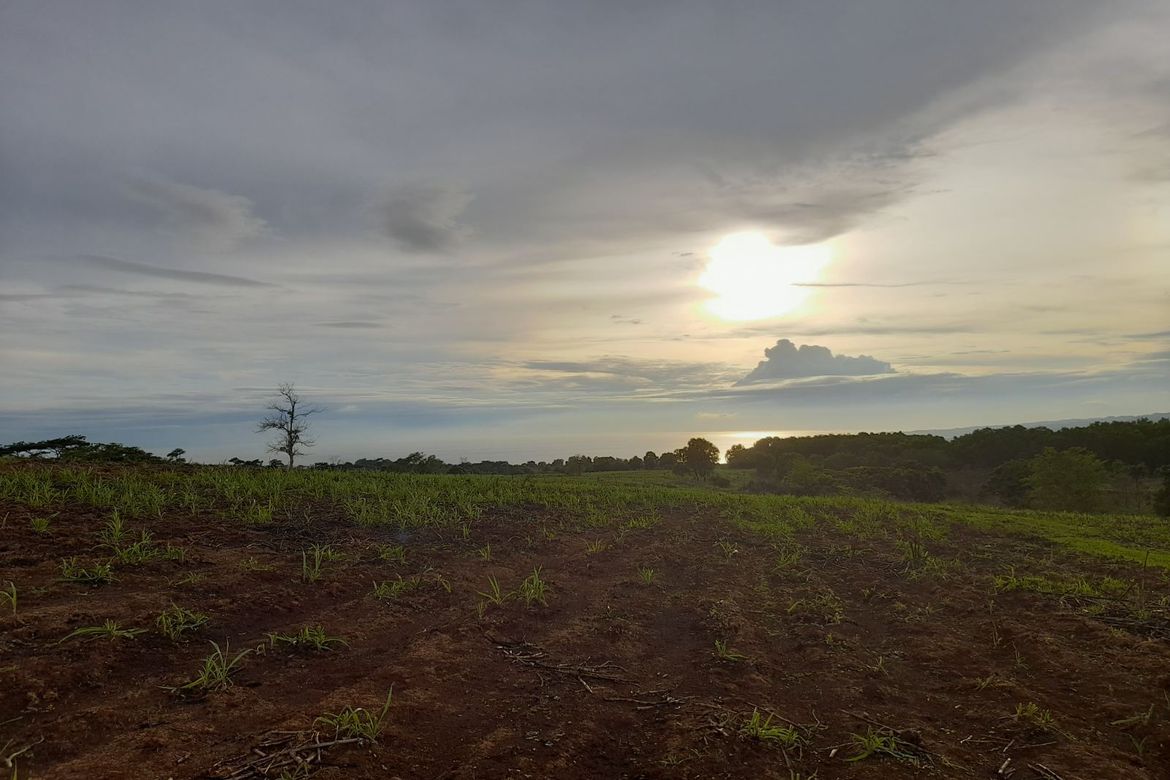 Land for Sale in Saysain, Bagac, Bataan – photo 2