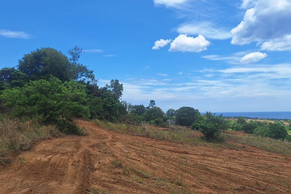 Land for Sale in Saysain, Bagac, Bataan