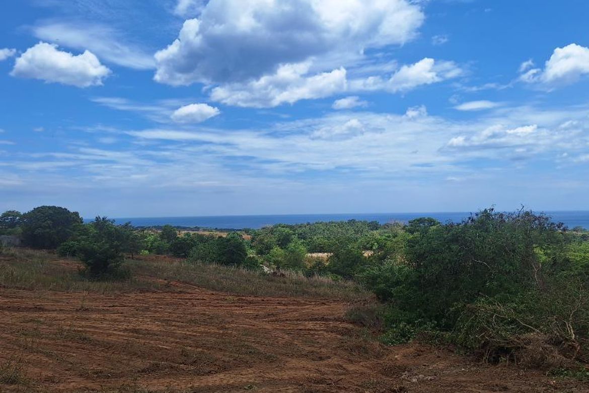 Land for Sale in Saysain, Bagac, Bataan – photo 2