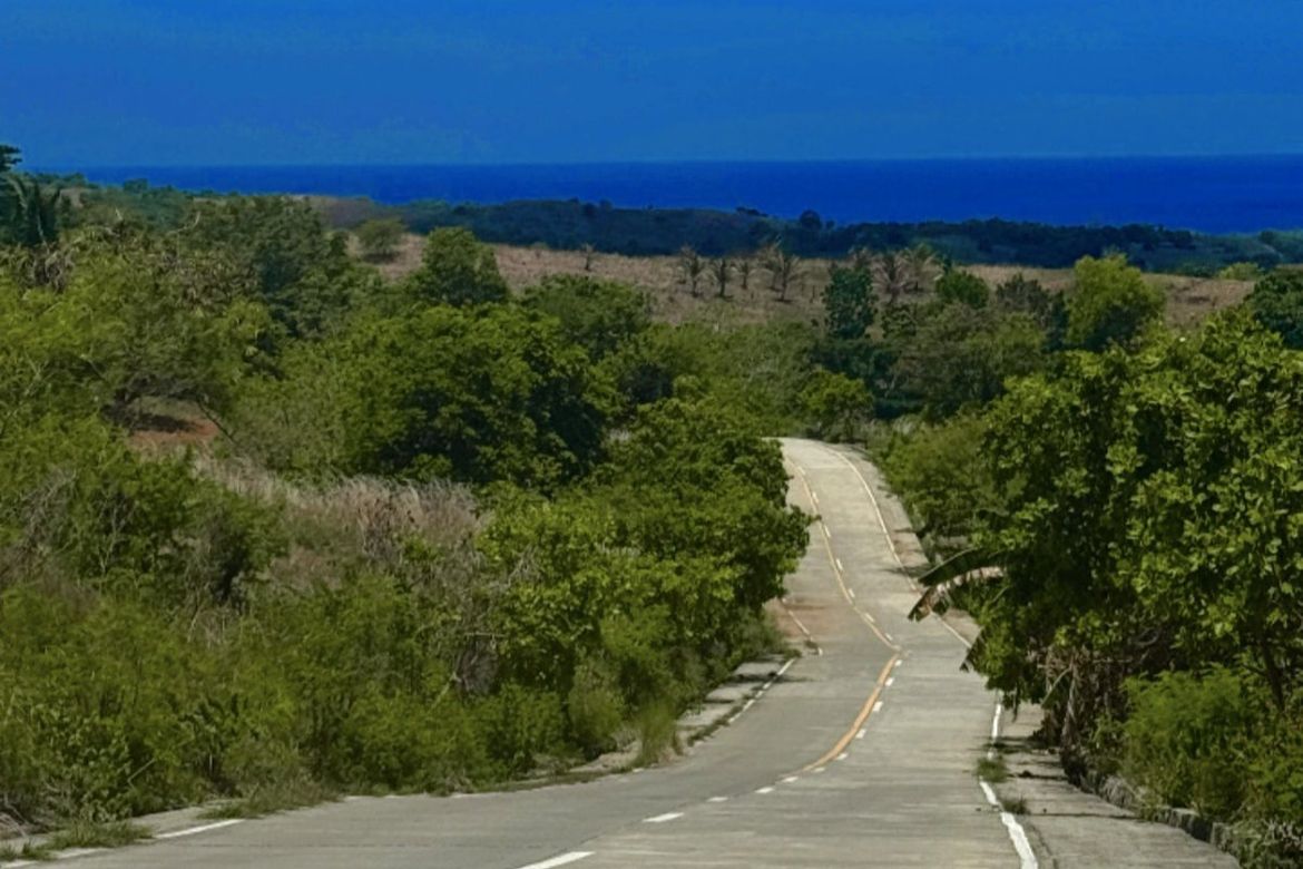 Land for Sale in Saysain, Bagac, Bataan – photo 5
