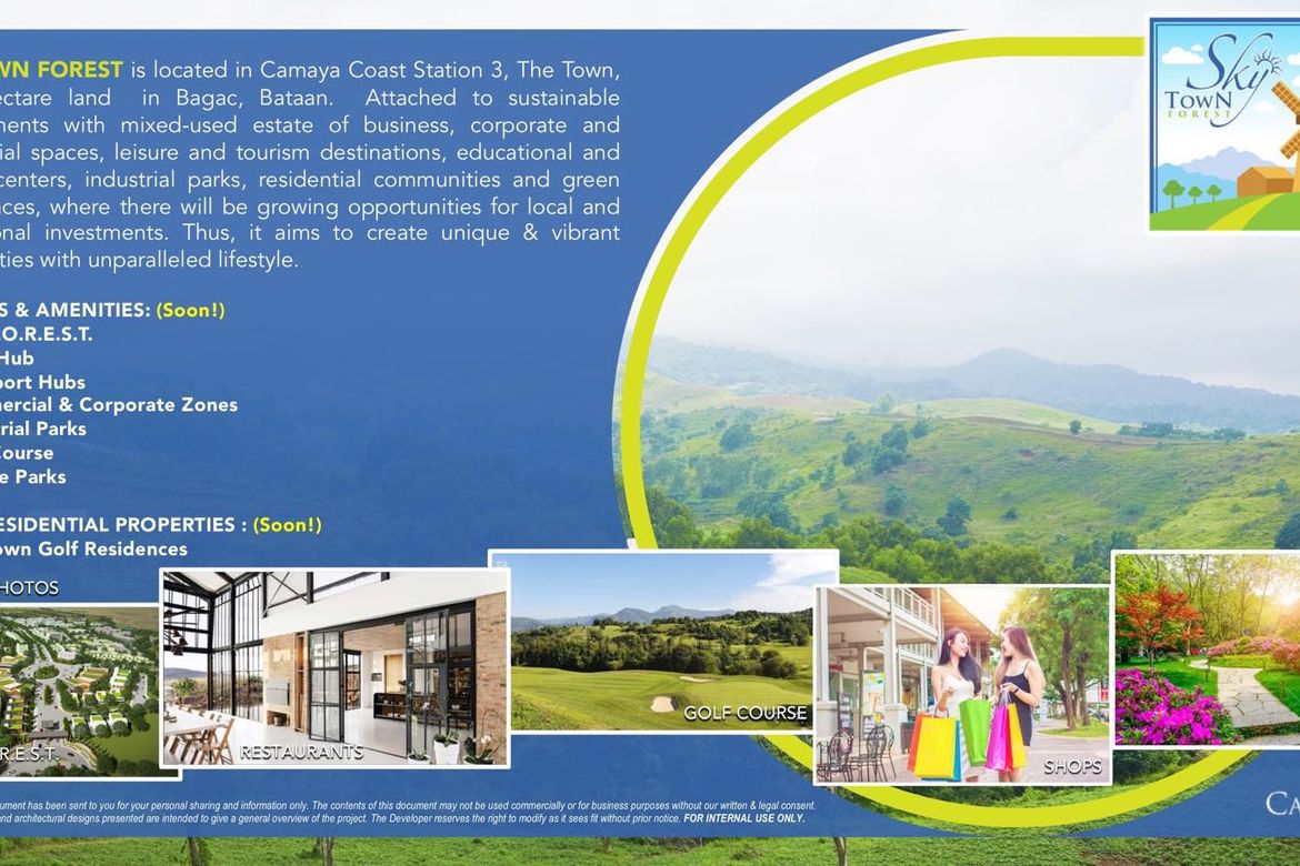 Land for Sale in Saysain, Bagac, Bataan – photo 7