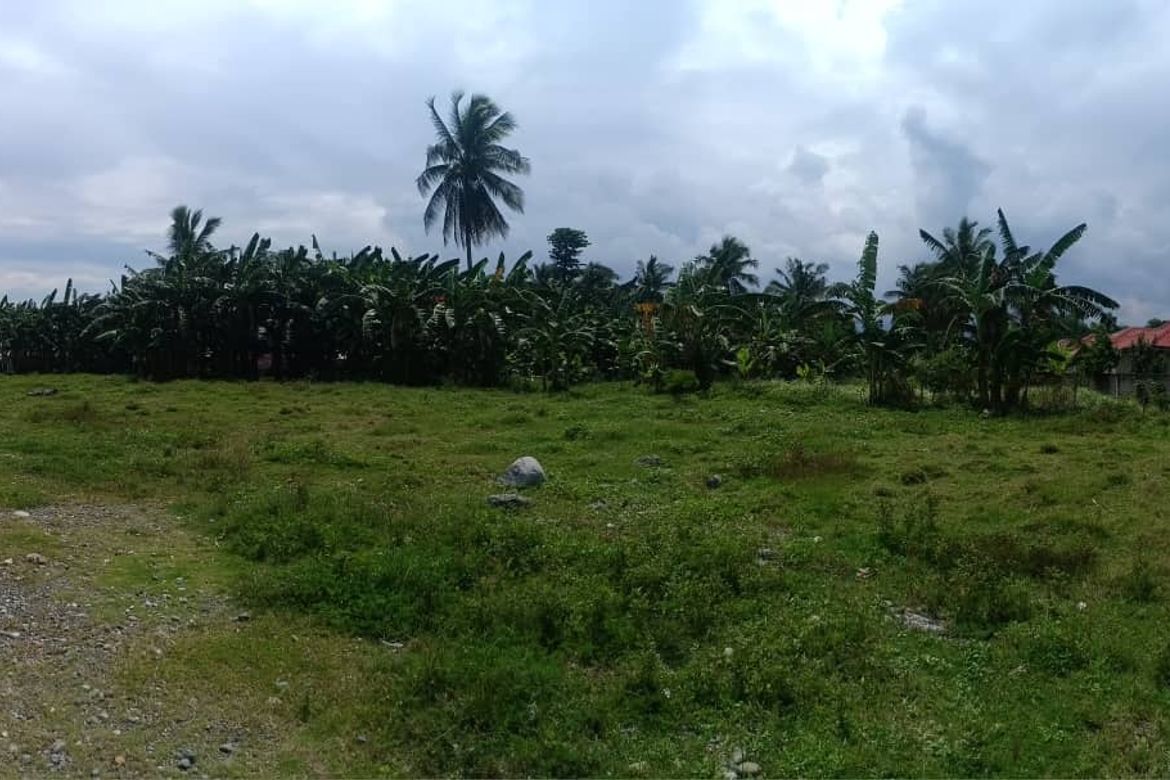 Land for Sale in SDC Land for Sale Oriental Mindoro, Tambong, Gloria, Oriental Mindoro – photo 2