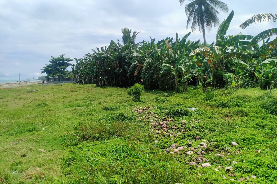 Land for Sale in SDC Land for Sale Oriental Mindoro, Tambong, Gloria, Oriental Mindoro – photo 3