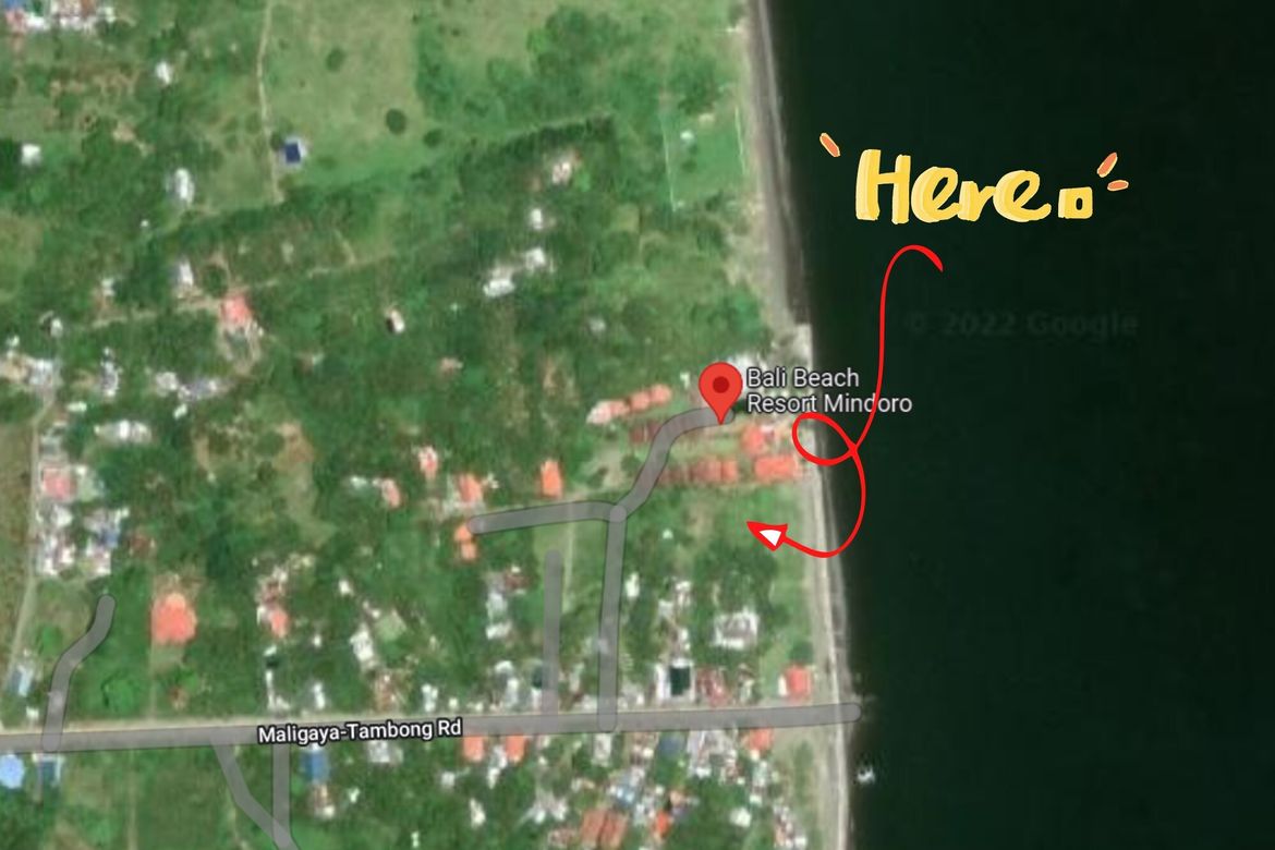 Land for Sale in SDC Land for Sale Oriental Mindoro, Tambong, Gloria, Oriental Mindoro – photo 4