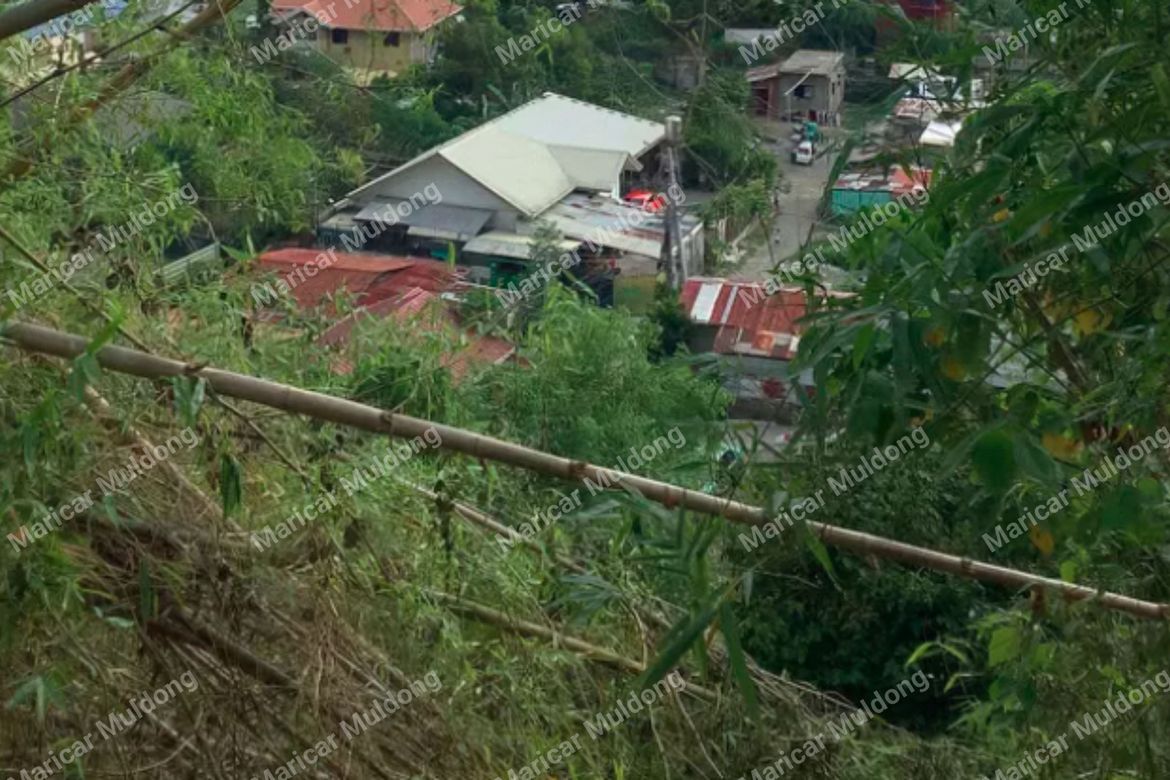 Land for Sale in Sevilla, San Fernando, La Union – photo 2