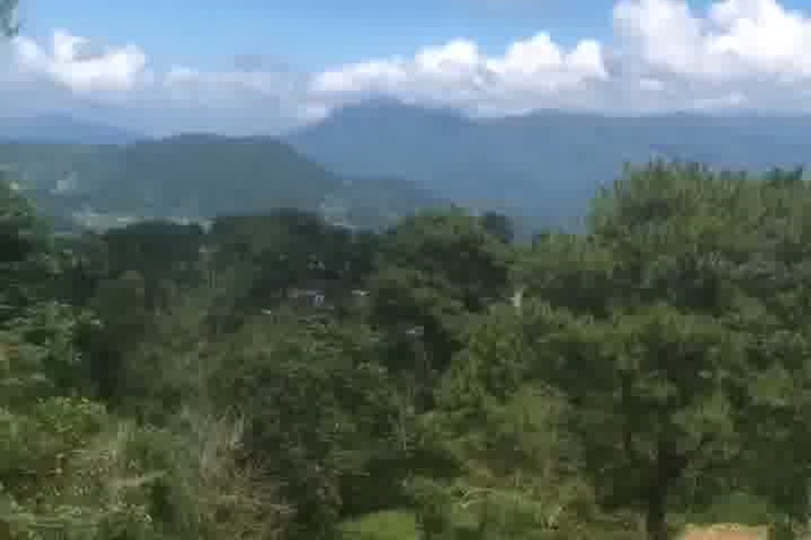 Land for Sale in Shilan, La trinidad, Benguet