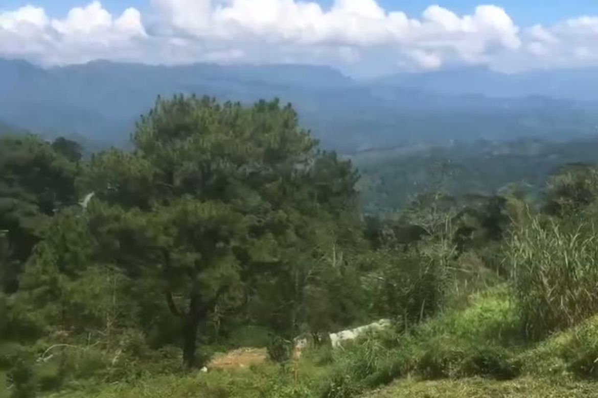 Land for Sale in Shilan, La trinidad, Benguet – photo 2