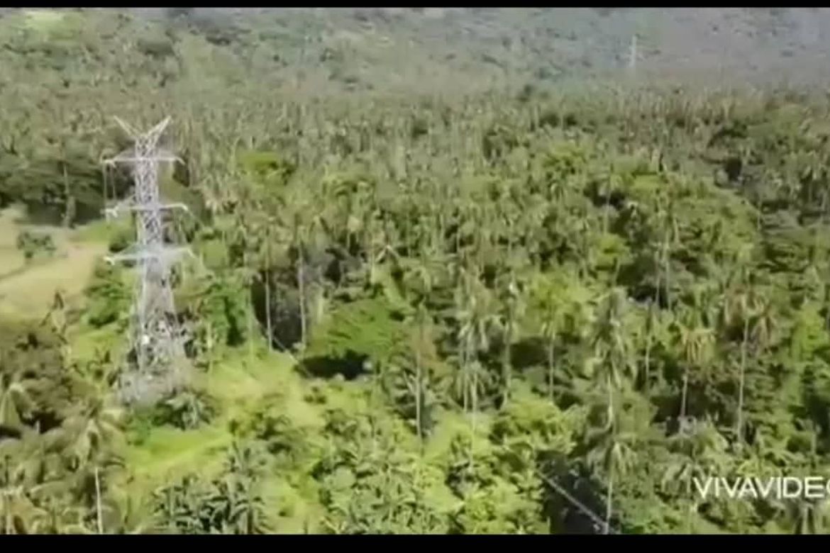 Land for Sale in Sibulan, Santa Cruz, Davao del Sur – photo 2
