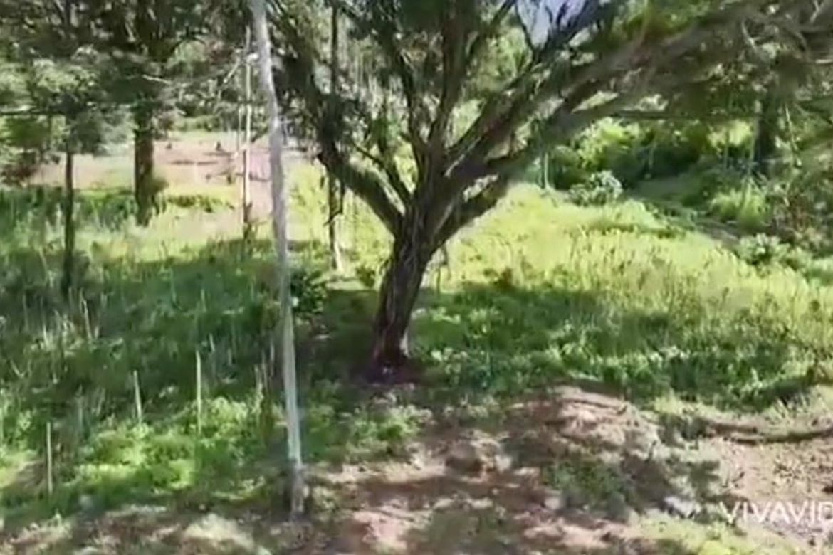 Land for Sale in Sibulan, Santa Cruz, Davao del Sur – photo 3