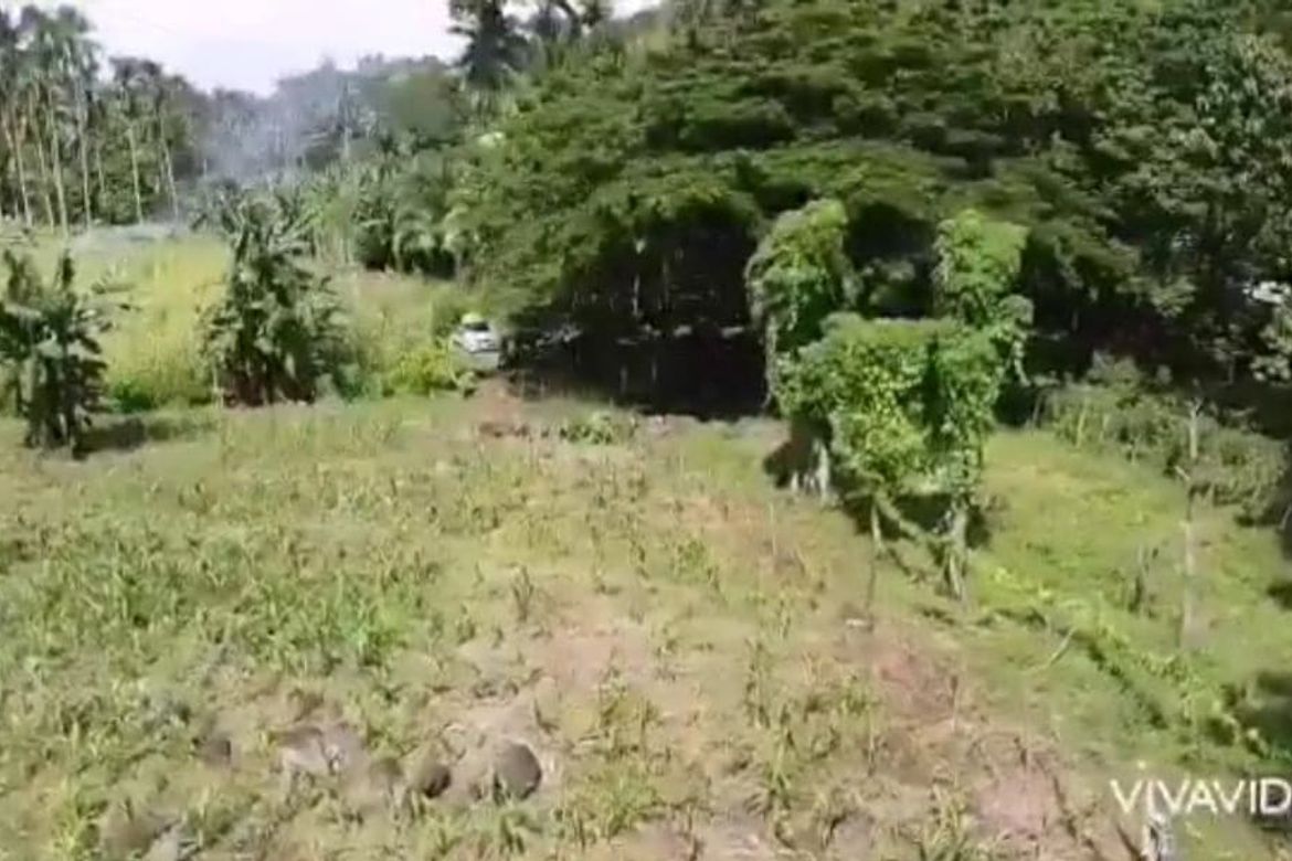 Land for Sale in Sibulan, Santa Cruz, Davao del Sur – photo 4