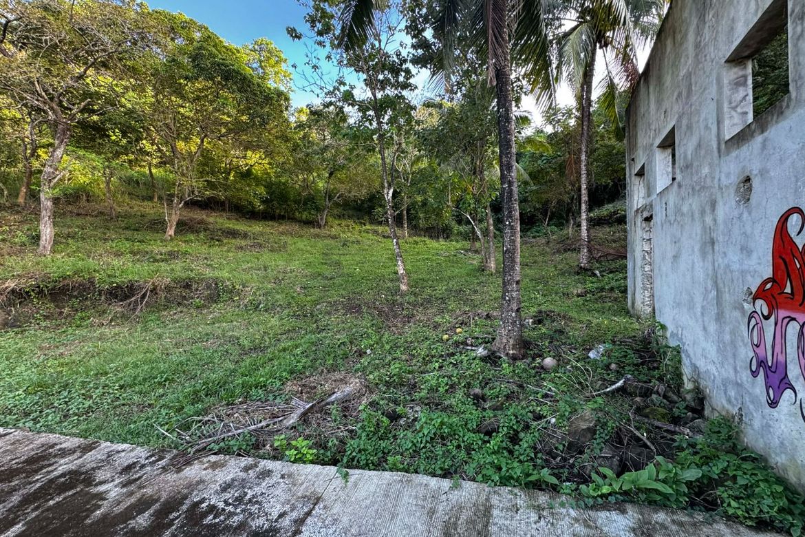 Land for Sale in Sicayab Bocana, Dapitan, Zamboanga del Norte – photo 4