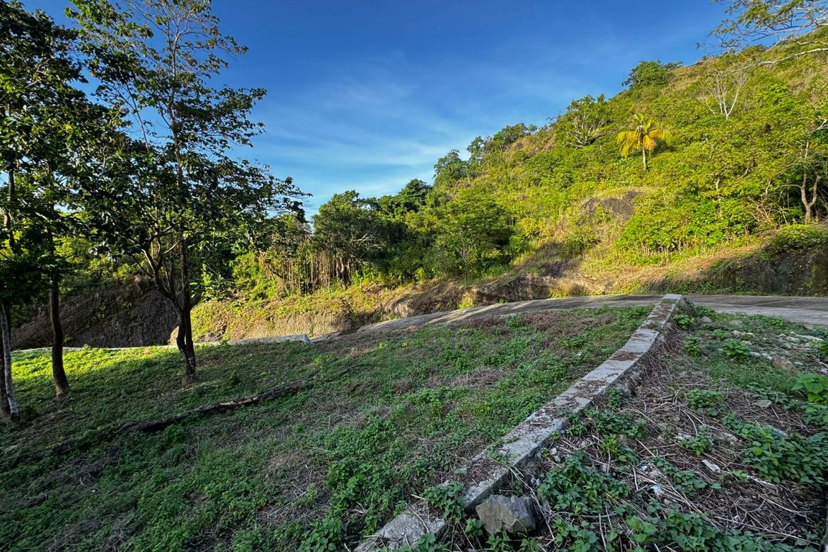 Land for Sale in Sicayab Bocana, Dapitan, Zamboanga del Norte – photo 5