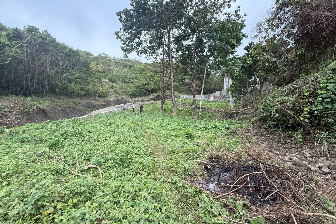 Land for Sale in Sicayab Bocana, Dapitan, Zamboanga del Norte – photo 6