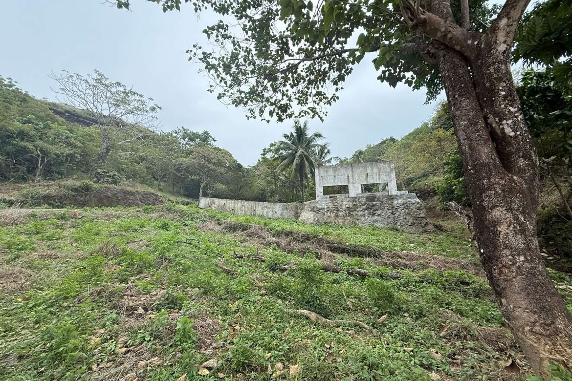 Land for Sale in Sicayab Bocana, Dapitan, Zamboanga del Norte – photo 7