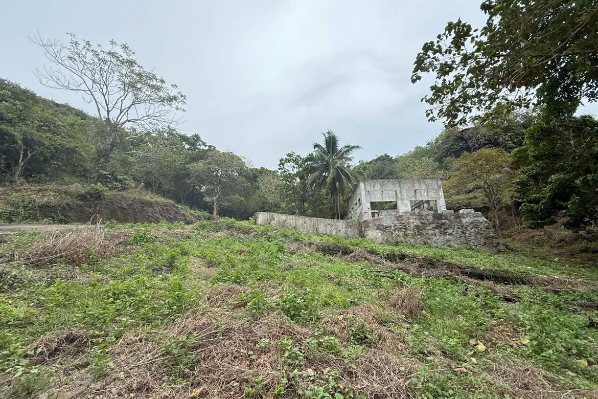Land for Sale in Sicayab Bocana, Dapitan, Zamboanga del Norte – photo 8