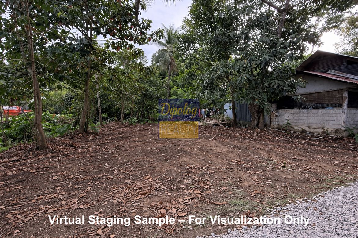 Land for Sale in Sicayab, Dipolog, Zamboanga del Norte – photo 3