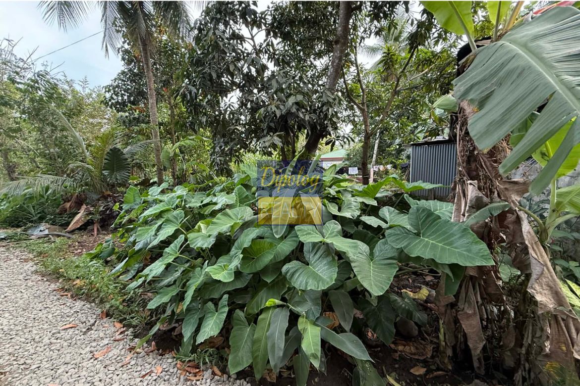 Land for Sale in Sicayab, Dipolog, Zamboanga del Norte – photo 4