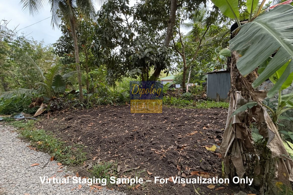Land for Sale in Sicayab, Dipolog, Zamboanga del Norte – photo 5