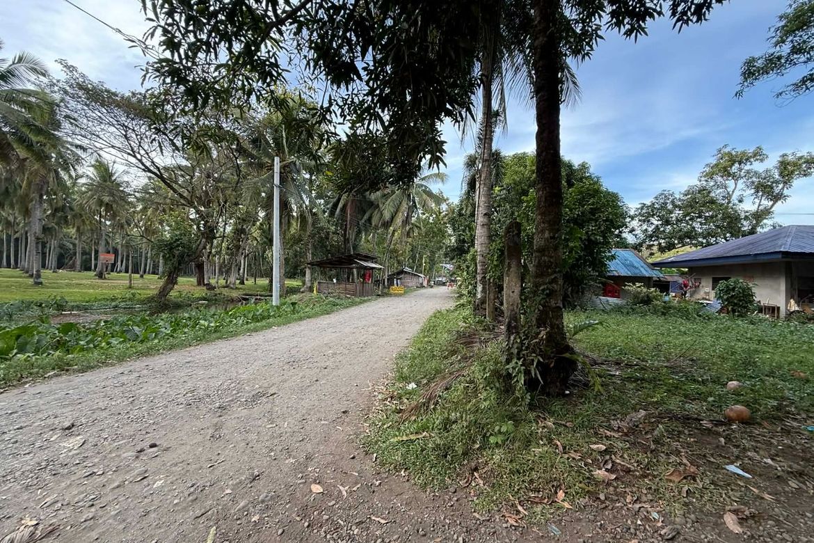 Land for Sale in Sicayab, Dipolog, Zamboanga del Norte – photo 5