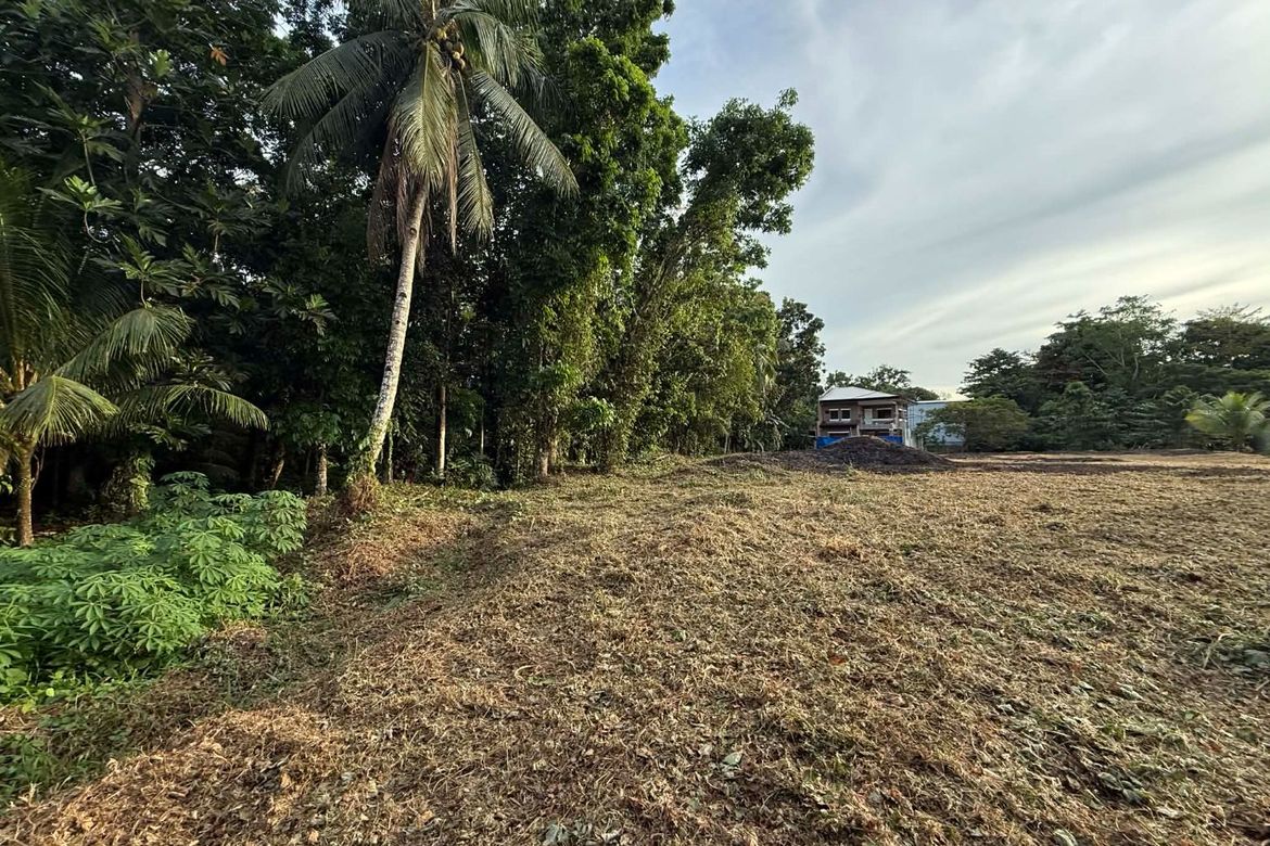 Land for Sale in Sicayab, Dipolog, Zamboanga del Norte – photo 8
