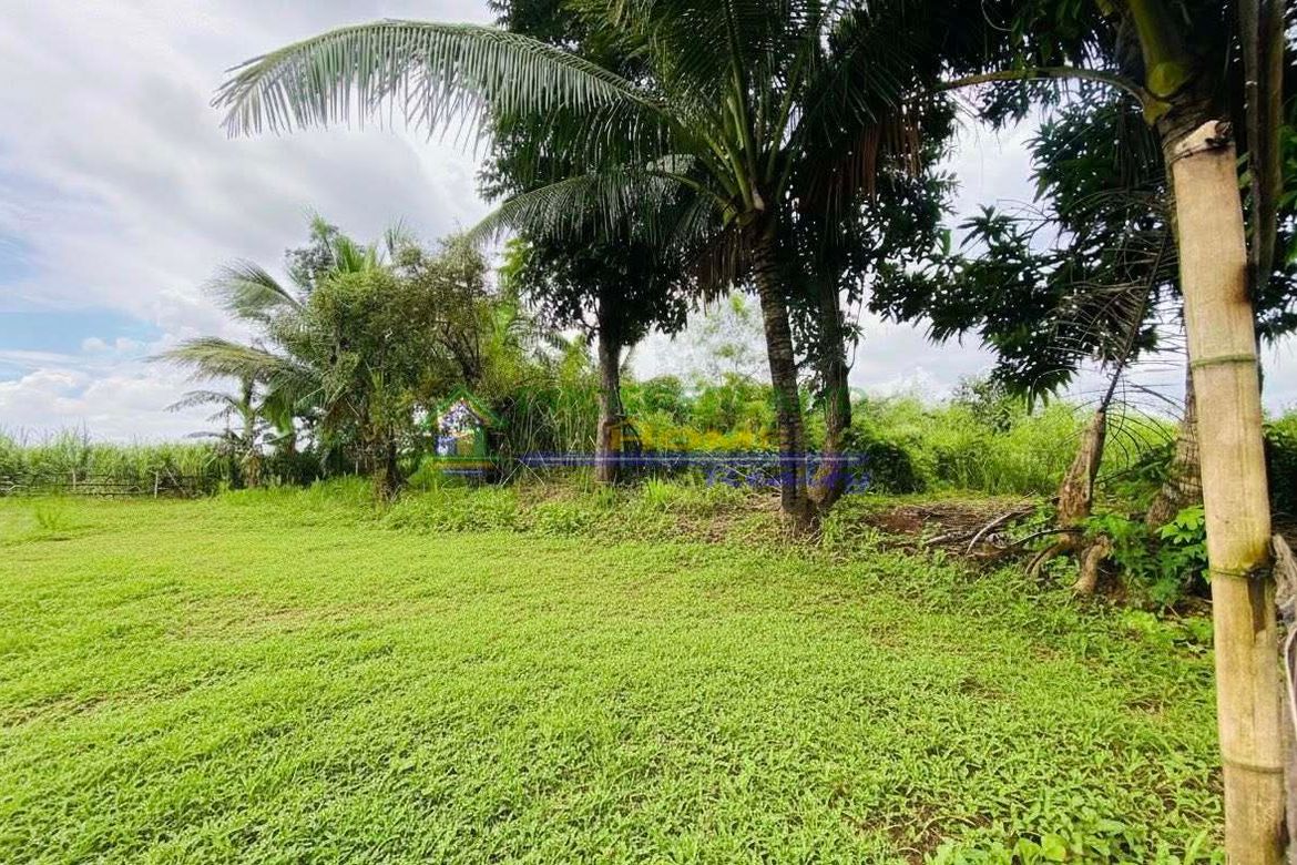 Land for Sale in Sico, Lipa, Batangas – photo 3