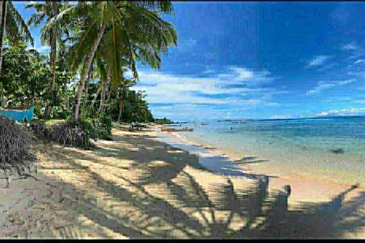 Land for Sale in Sico-Sico, Gigaquit, Surigao del Norte