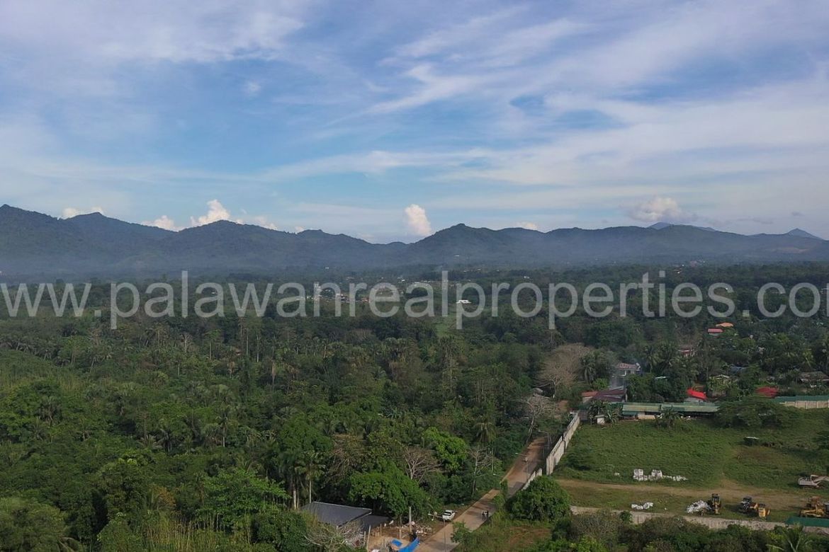 Land for Sale in Sicsican, Puerto Princesa, Palawan – photo 4