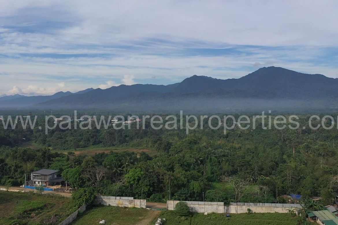 Land for Sale in Sicsican, Puerto Princesa, Palawan – photo 6