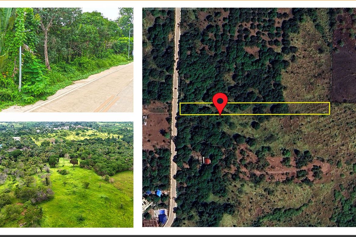 Land for Sale in Sicsican, Puerto Princesa, Palawan