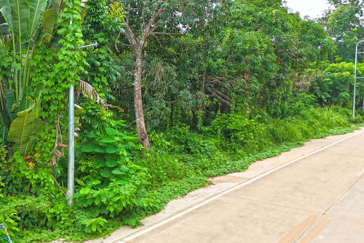 Land for Sale in Sicsican, Puerto Princesa, Palawan – photo 2