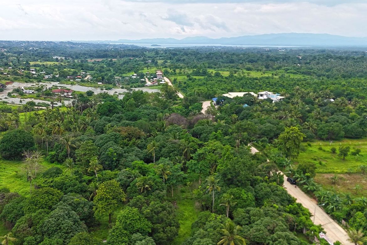 Land for Sale in Sicsican, Puerto Princesa, Palawan – photo 3