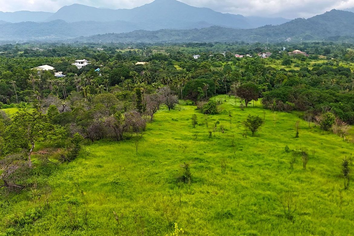 Land for Sale in Sicsican, Puerto Princesa, Palawan – photo 4