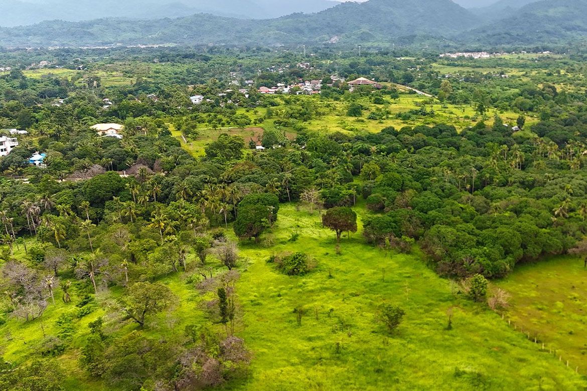Land for Sale in Sicsican, Puerto Princesa, Palawan – photo 5