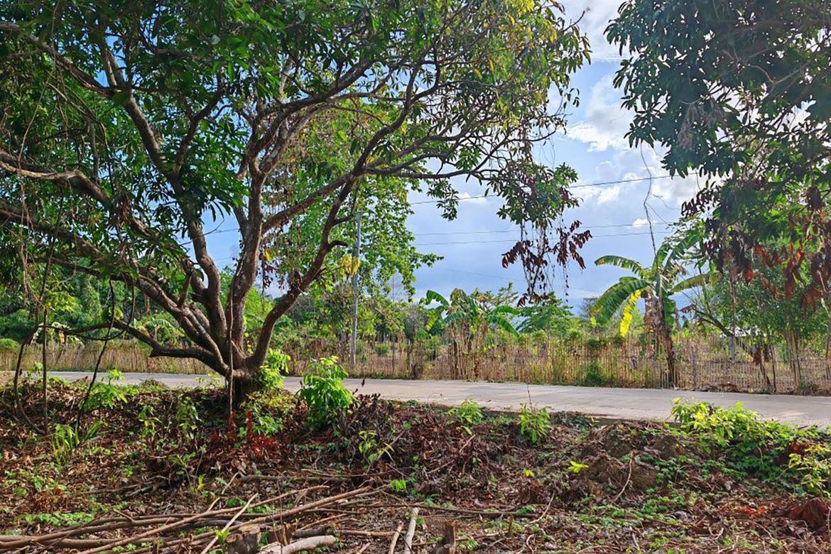 Land for Sale in Sicsican, Puerto Princesa, Palawan – photo 7