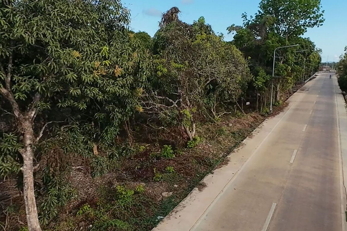 Land for Sale in Sicsican, Puerto Princesa, Palawan – photo 8