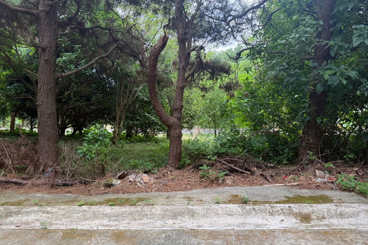 Land for Sale in Sikat, Alfonso, Cavite