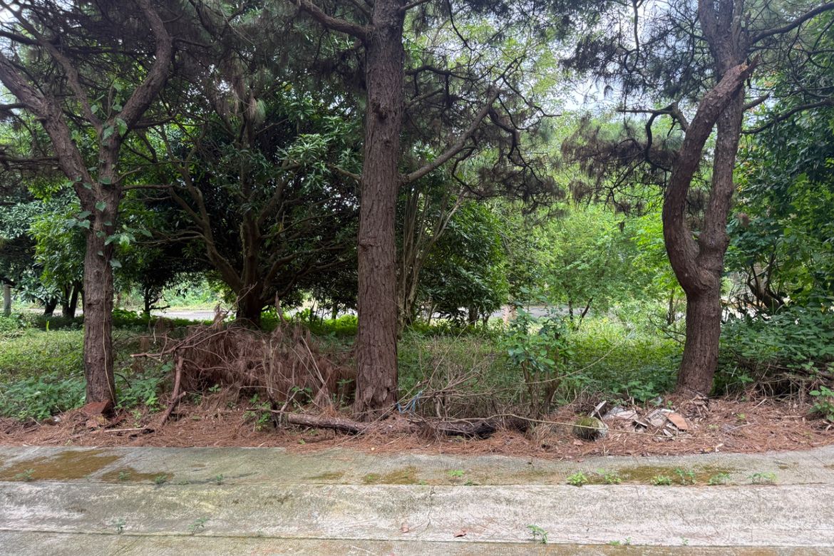 Land for Sale in Sikat, Alfonso, Cavite – photo 2