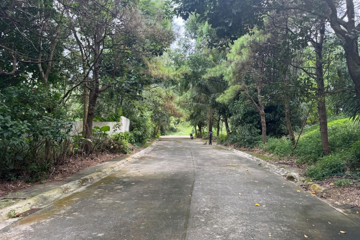 Land for Sale in Sikat, Alfonso, Cavite – photo 3