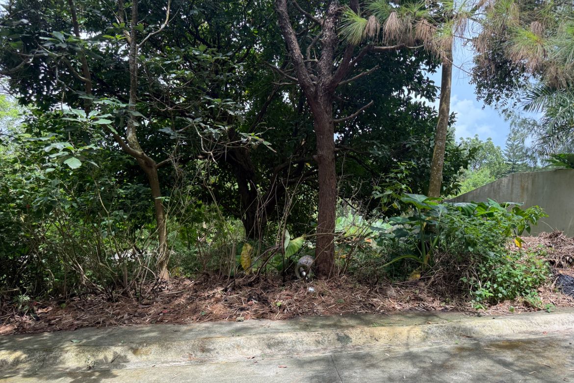 Land for Sale in Sikat, Alfonso, Cavite