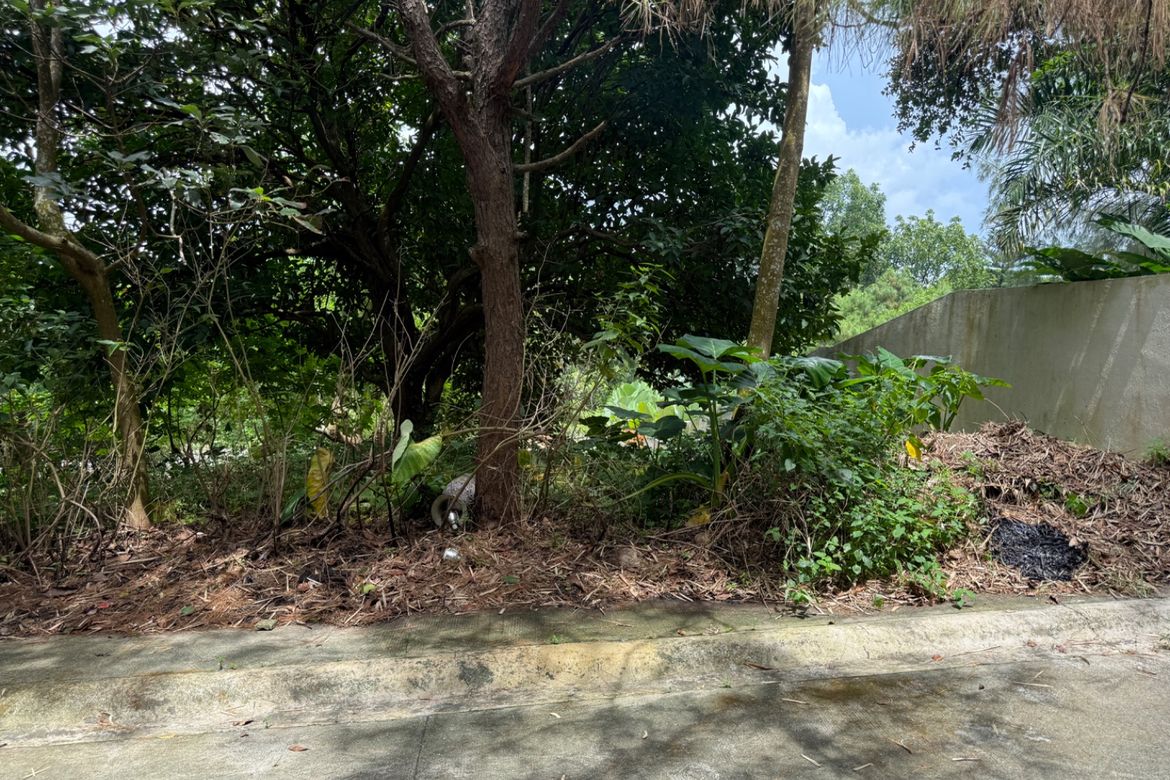 Land for Sale in Sikat, Alfonso, Cavite – photo 2