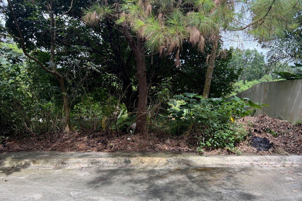 Land for Sale in Sikat, Alfonso, Cavite – photo 3