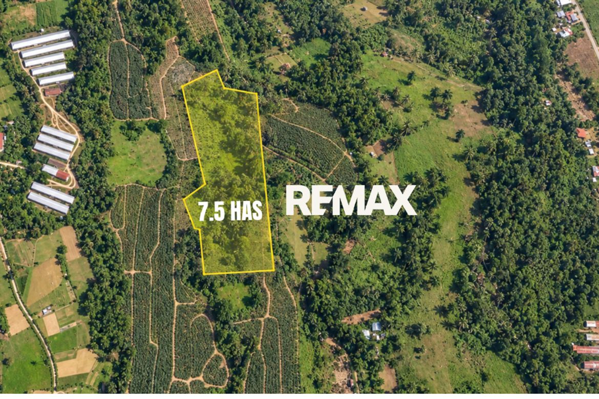 Land for Sale in Sil-Ipon, Libona, Bukidnon