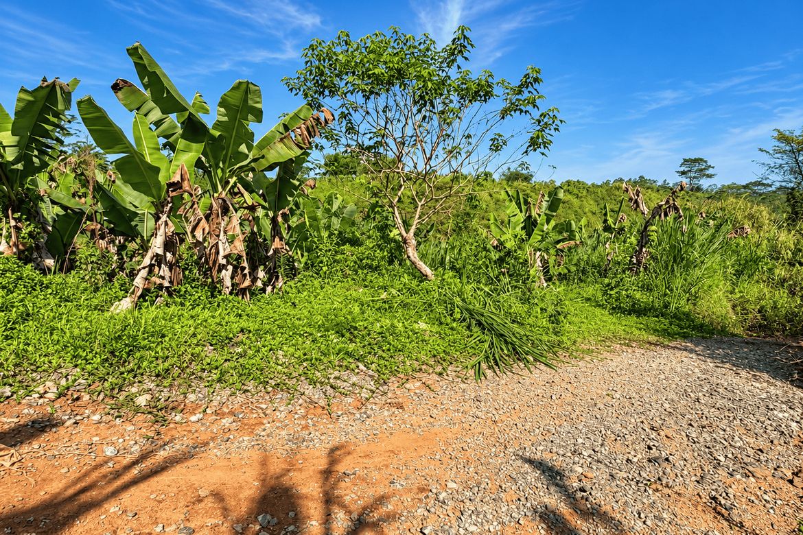 Land for Sale in Sil-Ipon, Libona, Bukidnon – photo 7