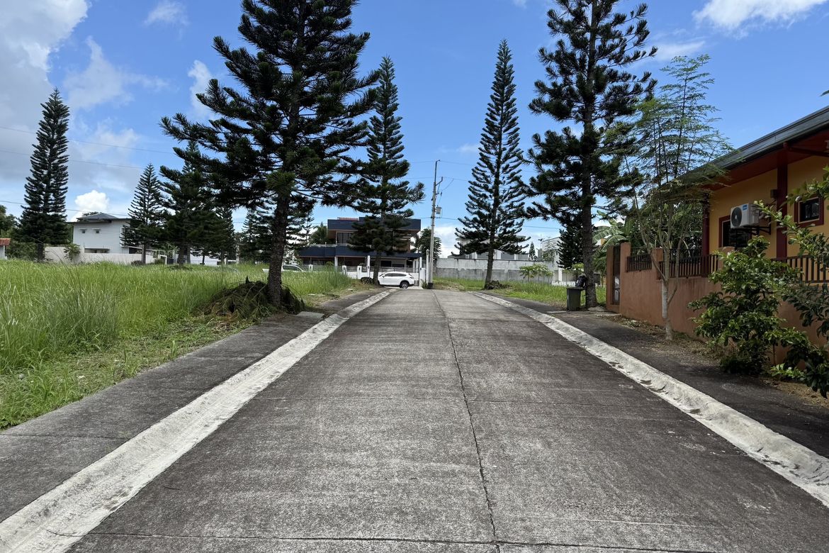 Land for Sale in Silang Junction North, Tagaytay, Cavite – photo 3