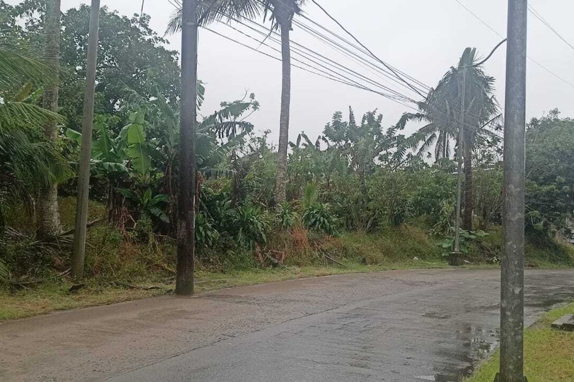 Land for Sale in Silang Junction North, Tagaytay, Cavite – photo 2