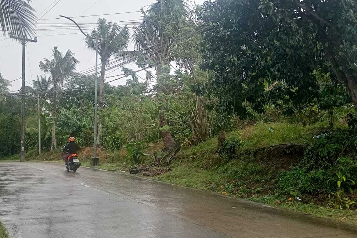 Land for Sale in Silang Junction North, Tagaytay, Cavite – photo 3
